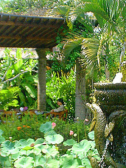 forum_user_exchange_58233.JPG