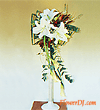 forum_user_exchange_64448.gif
