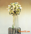 forum_user_exchange_64449.gif