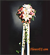 forum_user_exchange_64450.gif