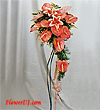 forum_user_exchange_64451.gif