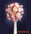 forum_user_exchange_64453.gif
