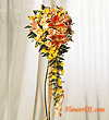 forum_user_exchange_64457.gif