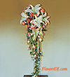 forum_user_exchange_64459.gif