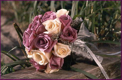 forum_user_exchange_93489.jpg