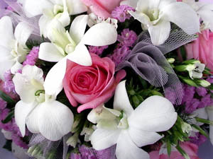 forum_user_exchange_102684.jpg