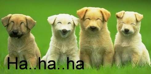 forum_user_exchange_104884.jpg