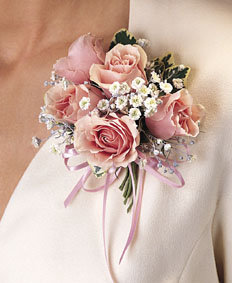 forum_user_exchange_105611.jpg