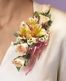 forum_user_exchange_105612.jpg