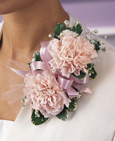 forum_user_exchange_105615.jpg