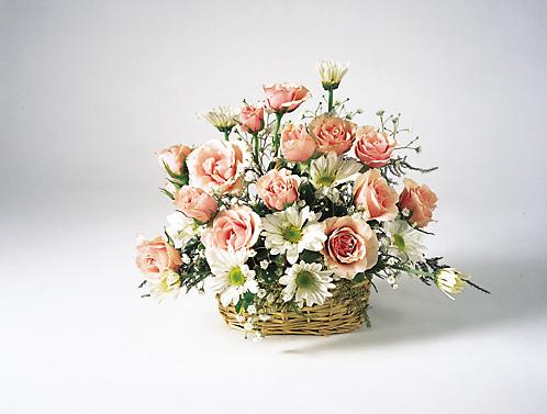 forum_user_exchange_105617.jpg