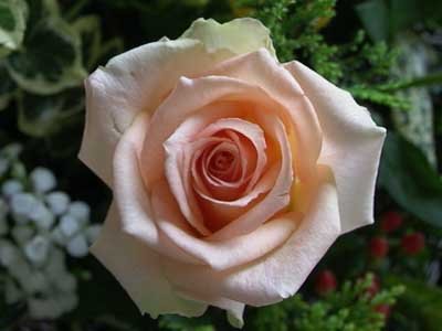 forum_user_exchange_115728.jpg