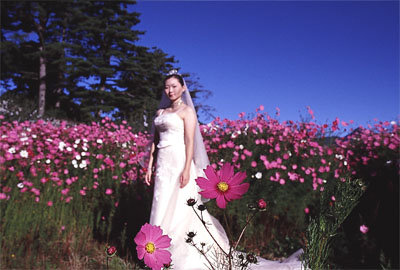 forum_user_exchange_161322.jpg