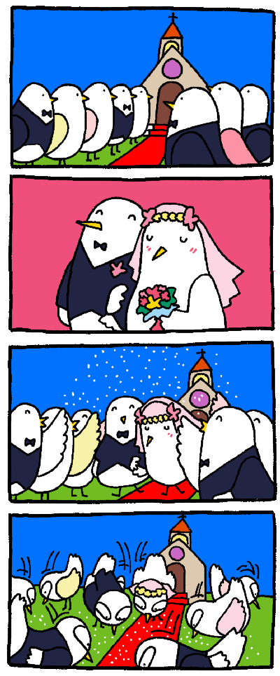forum_user_exchange_186067.gif