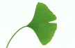 forum_user_exchange_199201.gif