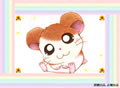 forum_user_exchange_205015.jpg