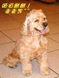 forum_user_exchange_226783.JPG