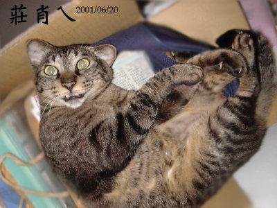 forum_user_exchange_226804.jpg