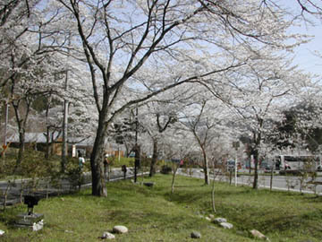 forum_user_exchange_227345.jpg