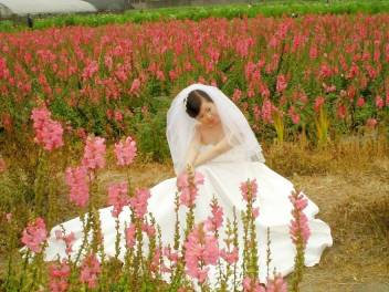 forum_user_exchange_235824.jpg