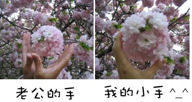 forum_user_exchange_247136.jpg