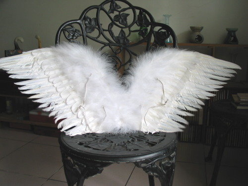 forum_user_exchange_253509.jpg
