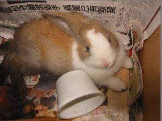 forum_user_exchange_261343.jpg
