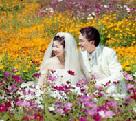 forum_user_exchange_263830.jpg