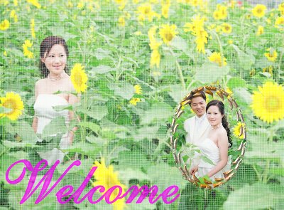 forum_user_exchange_265503.jpg