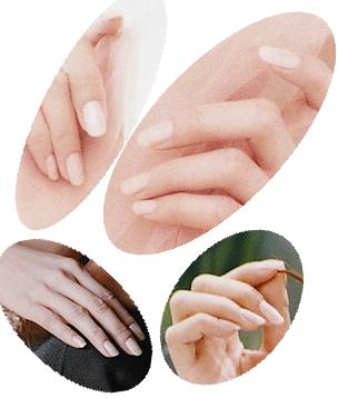 forum_user_exchange_274144.jpg