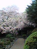 forum_user_exchange_285530.jpg