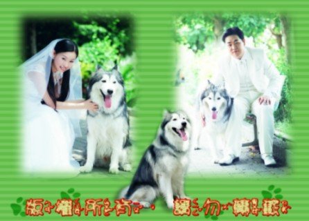 forum_user_exchange_285923.jpg