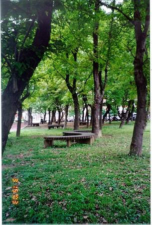 forum_user_exchange_286932.jpg