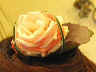 forum_user_exchange_301153.jpg