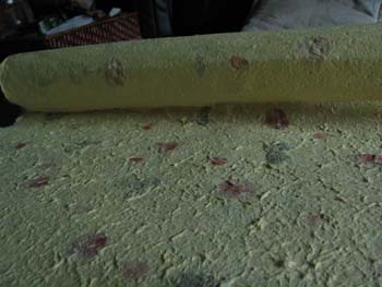 forum_user_exchange_303234.JPG