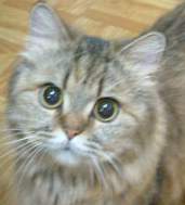 forum_user_exchange_304534.jpg