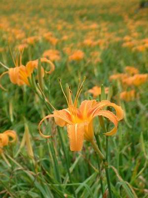 forum_user_exchange_315204.jpg