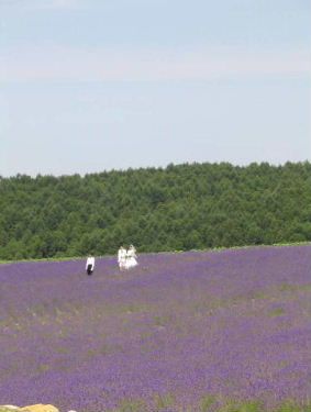 forum_user_exchange_320978.jpg