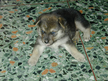 forum_user_exchange_325608.jpg