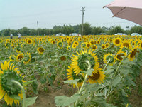 forum_user_exchange_326940.jpg