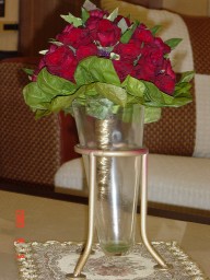 forum_user_exchange_338223.JPG