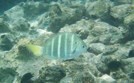 forum_user_exchange_341841.jpg