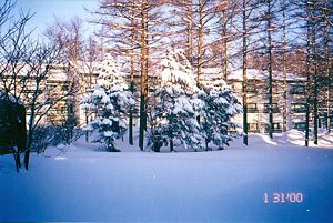 forum_user_exchange_353181.jpg