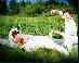 forum_user_exchange_353521.jpg