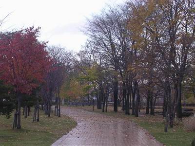 forum_user_exchange_368444.JPG