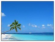 forum_user_exchange_369996.jpg