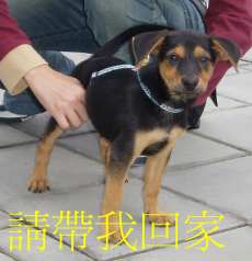 forum_user_exchange_375775.jpg