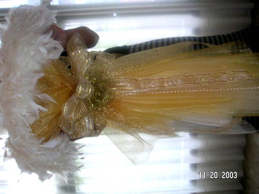 forum_user_exchange_379304.jpg