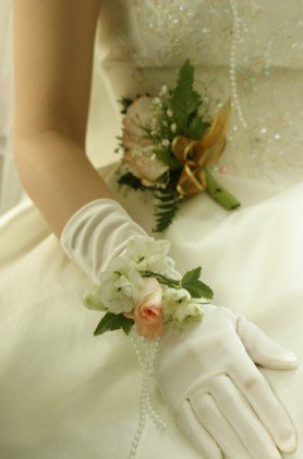 forum_user_exchange_431388.jpg