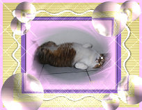 forum_wed_life_82025.jpg